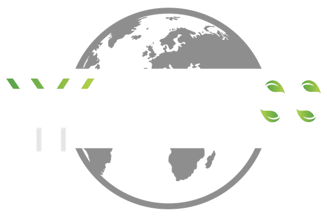 An image of the companies logo, YYWireless, it is a grey globe with white canvas like text, inside of the globe is the word YYWireless, with green tips on the ends of the Ys